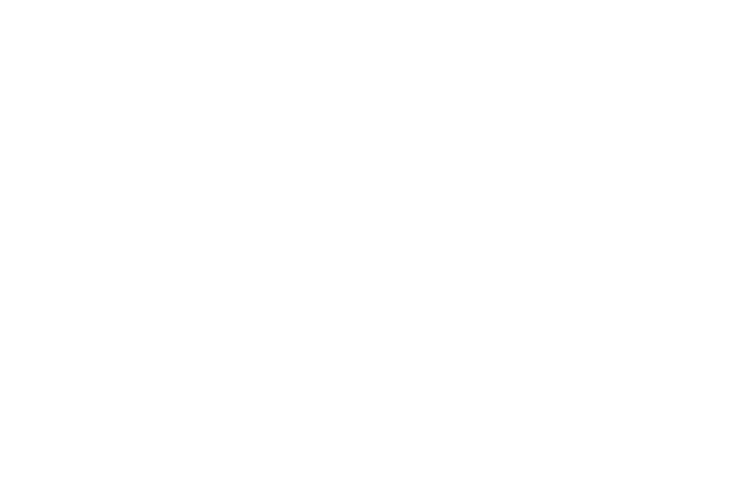 Bella Vista Logo white