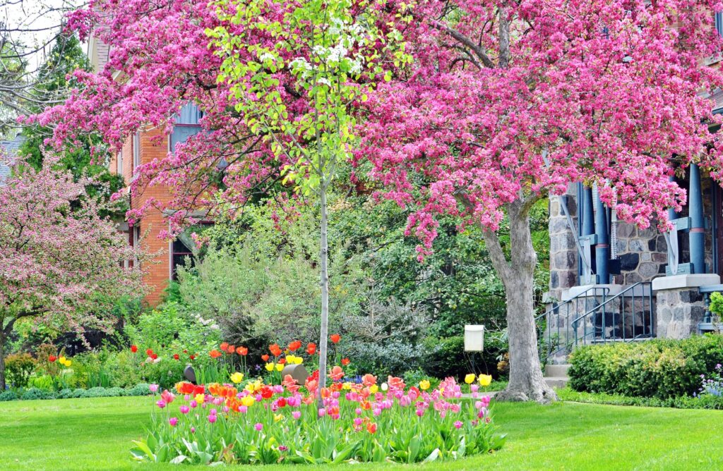 Your landscaping will help you determine the best paint colors for your home. Image of spring trees and tulips.