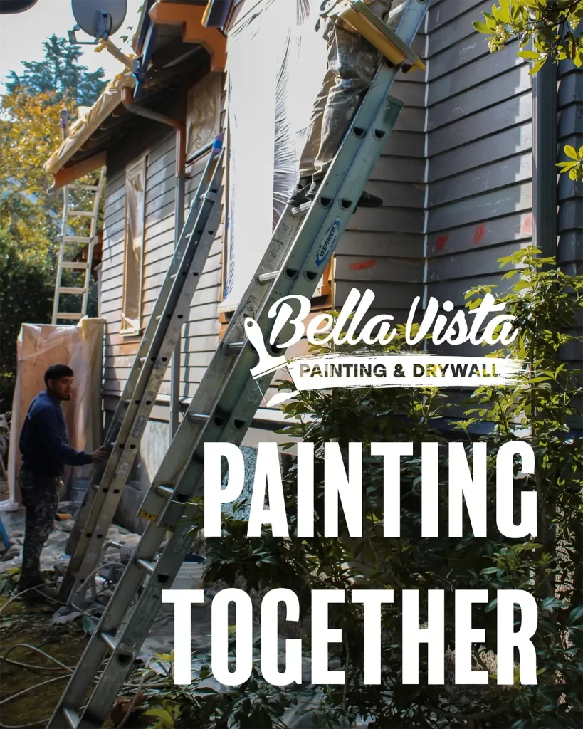 Bella Vista Painting Cover